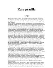 Pirmojo pasaulinio karo projektas 4 puslapis