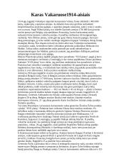 Pirmojo pasaulinio karo projektas 7 puslapis