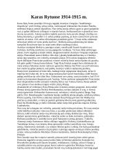 Pirmojo pasaulinio karo projektas 10 puslapis
