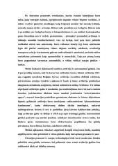 Pirmojo pasaulinio karo istorija 3 puslapis