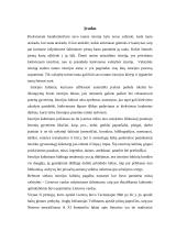 Pirmieji Lietuvos paminėjimai rašytiniuose šaltiniuose 2 puslapis