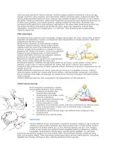 Pirmoji medicinos pagalba 3 puslapis