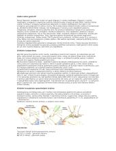 Pirmoji medicinos pagalba 4 puslapis