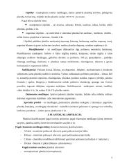 Plastikai 5 puslapis
