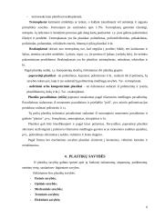 Plastikai 6 puslapis
