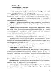 Plastikai 7 puslapis