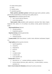 Plastikai 10 puslapis