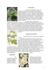 Plaukų gydymas fitoterapinėmis priemonėmis 2 puslapis