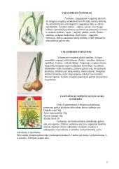 Plaukų gydymas fitoterapinėmis priemonėmis 5 puslapis