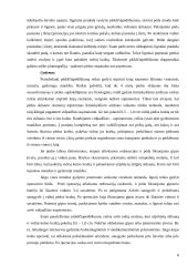 Plokščiapėdystė. Korekcija ir profilaktinės priemonės 6 puslapis