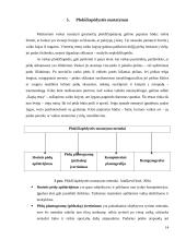 Plokščiapėdystės profilaktika 14 puslapis