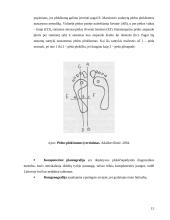 Plokščiapėdystės profilaktika 15 puslapis