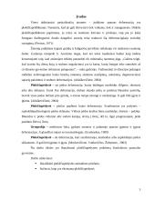 Plokščiapėdystės profilaktika 3 puslapis
