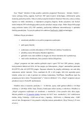 Pokalbiai internetu Skype programa 3 puslapis