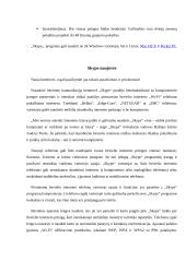 Pokalbiai internetu Skype programa 5 puslapis