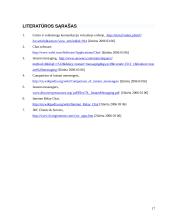 Pokalbiams skirta programinė įranga 17 puslapis