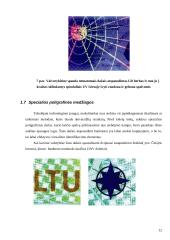 Poligrafinės dokumentų apsaugos priemonės 11 puslapis