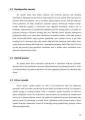 Poligrafinės dokumentų apsaugos priemonės 13 puslapis