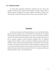 Poligrafinės dokumentų apsaugos priemonės 14 puslapis