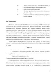 Poligrafinės dokumentų apsaugos priemonės 5 puslapis