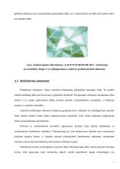 Poligrafinės dokumentų apsaugos priemonės 6 puslapis