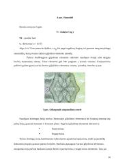 Poligrafinės dokumentų apsaugos priemonės 9 puslapis