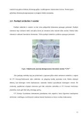 Poligrafinės dokumentų apsaugos priemonės 10 puslapis