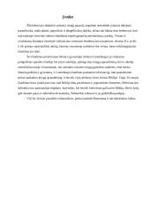 Poligrafinės spaudos išradėjas J. Gutenbergas 2 puslapis