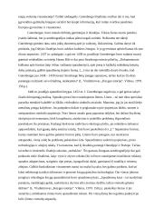 Poligrafinės spaudos išradėjas J. Gutenbergas 4 puslapis