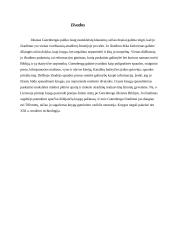 Poligrafinės spaudos išradėjas J. Gutenbergas 7 puslapis