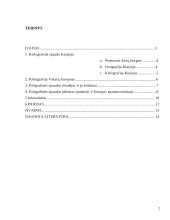 Poligrafinės spaudos išradimas (ksilografija Kinijoje) 2 puslapis