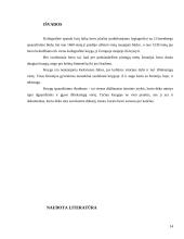 Poligrafinės spaudos išradimas (ksilografija Kinijoje) 14 puslapis