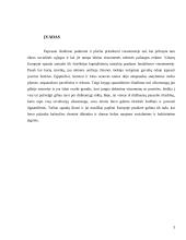 Poligrafinės spaudos išradimas (ksilografija Kinijoje) 3 puslapis