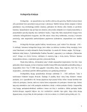 Poligrafinės spaudos išradimas (ksilografija Kinijoje) 5 puslapis