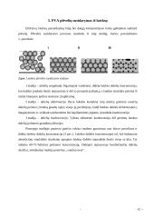 Polivinilacetato (PVA) klijų dispersijos 11 puslapis
