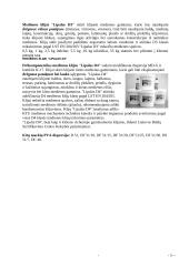 Polivinilacetato (PVA) klijų dispersijos 4 puslapis