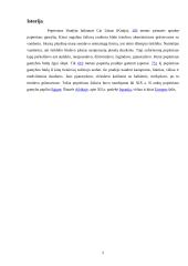 Popierius, naudojamas darbui biure 3 puslapis