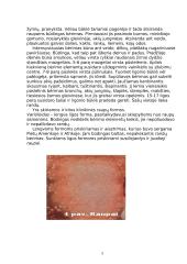 Pox virusai 4 puslapis