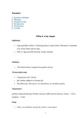 Pox virusai 6 puslapis