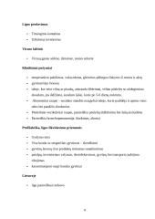 Pox virusai 7 puslapis