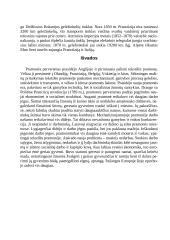 Pramonės perversmas 11 puslapis