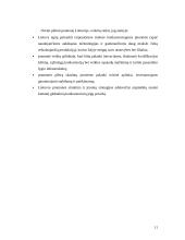 Pramonės restruktūrizavimo problemos 11 puslapis