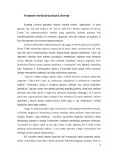 Pramonės restruktūrizavimo problemos 4 puslapis