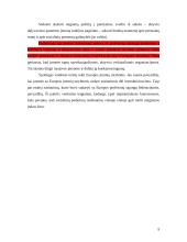 Pramonės restruktūrizavimo problemos 9 puslapis