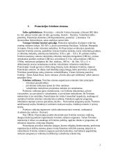 Prancūzijos švietimo sistema 2 puslapis