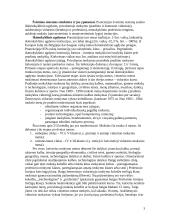 Prancūzijos švietimo sistema 3 puslapis