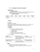 Prancūzijos švietimo sistema 8 puslapis