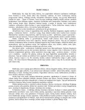 Prekyba Babilone 3 puslapis