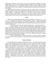 Prekyba Babilone 5 puslapis