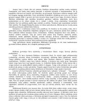 Prekyba Babilone 6 puslapis